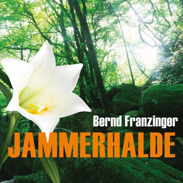Jammerhalde (Ungekürzt) - Bernd Franzinger, Audio, 9783836809412