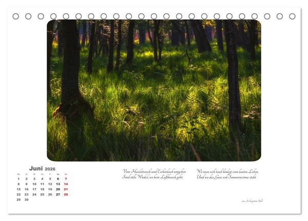Produktbild: Max Dauthendey - Mit dem Wald durchs Jahr (Tischkalender 2026 DIN A5 quer), CALVENDO Monatskalender