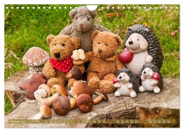 Produktbild: Kunterbunte B&auml;renwelt - Teddys (Wandkalender 2026 DIN A4 quer), CALVENDO Monatskalender