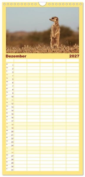 Produktbild: Familienplaner 2027 - Wildes Namibia mit 5 Spalten (Wandkalender, 21 x 45 cm) CALVENDO