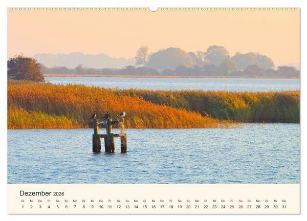 Produktbild: Ummanz - Naturparadies in der R&uuml;gener Boddenlandschaft (Wandkalender 2026 DIN A2 quer), CALVENDO Monatskalender