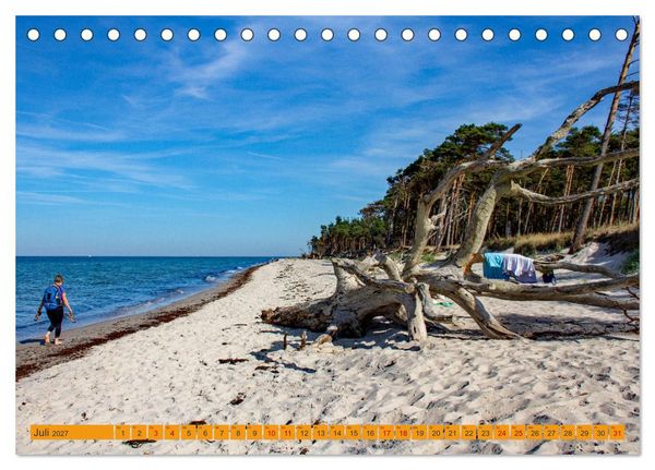 Produktbild: Wilder Dar&szlig;er Weststrand (Tischkalender 2027 DIN A5 quer), CALVENDO Monatskalender