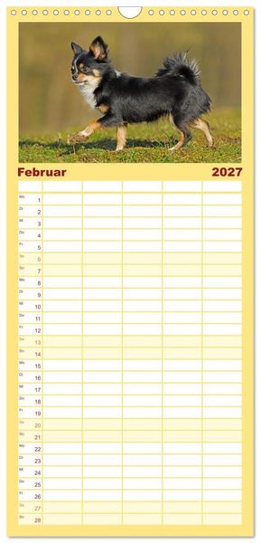 Produktbild: Familienplaner 2027 - Enegieb&uuml;ndel Chihuahua - Temperament auf vier Pfoten mit 5 Spalten (Wandkalender, 21 x 45 cm) CALVENDO