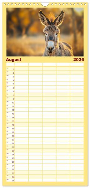 Produktbild: Familienplaner 2026 - Lustige Eselgeschichten mit 5 Spalten (Wandkalender, 21 x 45 cm) CALVENDO