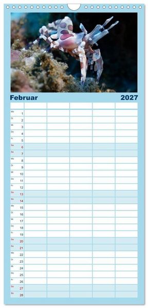 Produktbild: Familienplaner 2027 - Faszination blaue Unterwasserwelt mit 5 Spalten (Wandkalender, 21 x 45 cm) CALVENDO