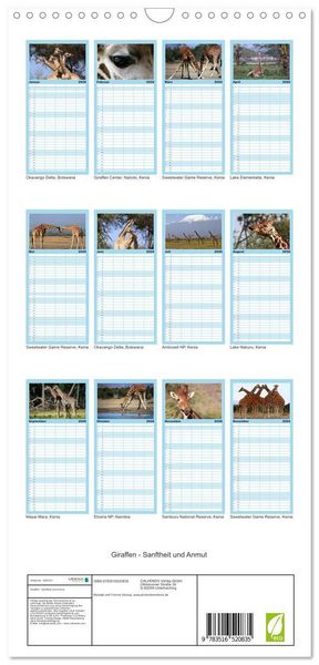 Produktbild: Familienplaner 2026 - Giraffen - Sanftheit und Anmut mit 5 Spalten (Wandkalender, 21 x 45 cm) CALVENDO