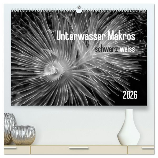 Produktbild: Unterwasser Makros - schwarz weiss 2026 (hochwertiger Premium Wandkalender 2026 DIN A2 quer), Kunstdruck in Hochglanz