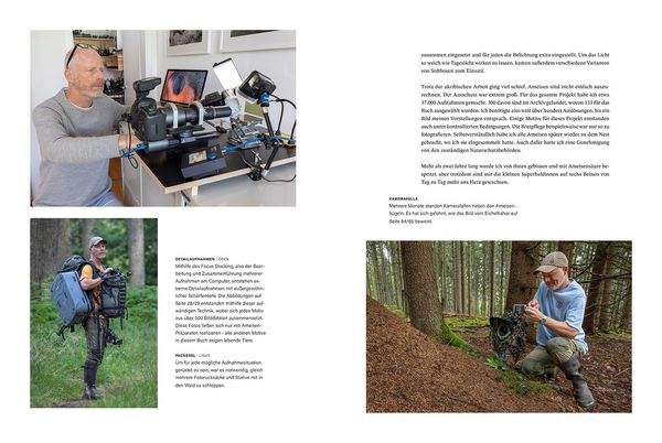 Produktbild: Waldameisen