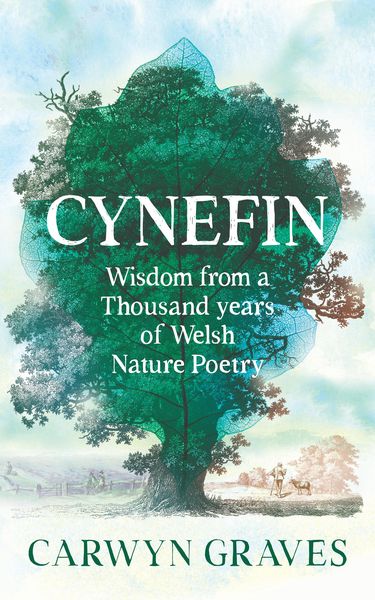 Produktbild: Cynefin