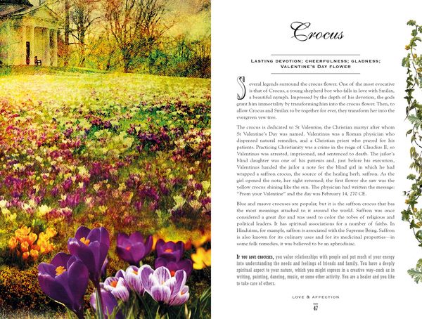 Produktbild: The Secret Language of Flowers