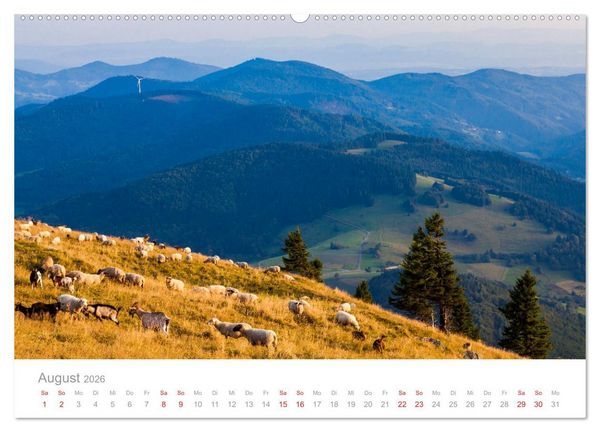 Produktbild: Der Schwarzwald Impressionen (hochwertiger Premium Wandkalender 2026 DIN A2 quer), Kunstdruck in Hochglanz