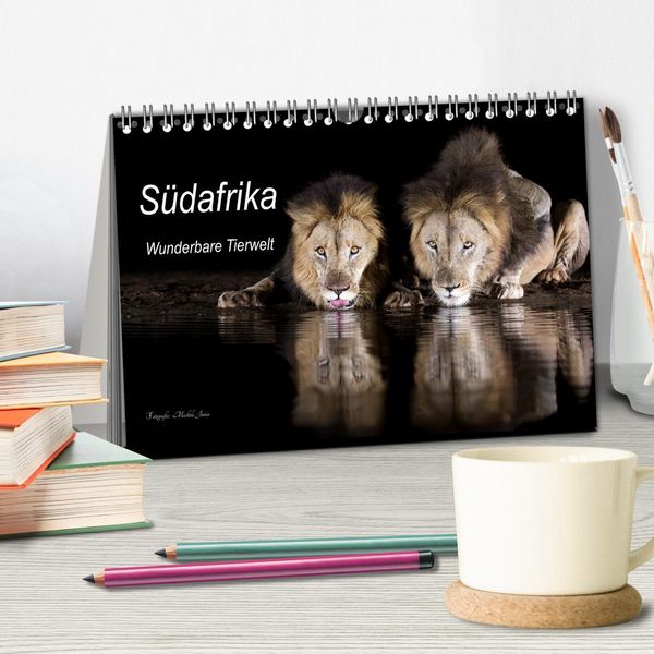 Produktbild: S&uuml;dafrika wunderbare Tierwelt (Tischkalender 2026 DIN A5 quer), CALVENDO Monatskalender