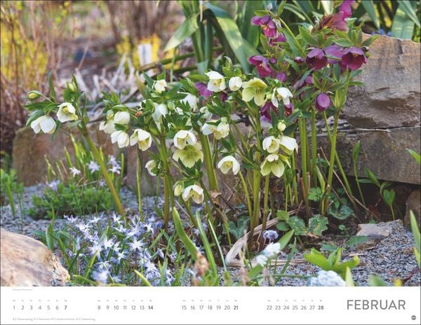 Produktbild: Gartenparadies Posterkalender 2027