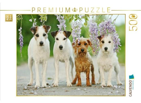 CALVENDO Puzzle Vier Freunde | 500 Teile Lege-Größe 48 × 36 cm Foto-Puzzle für Erwachsene