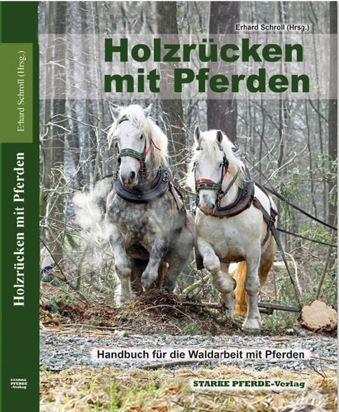 Produktbild: Holzr&uuml;cken mit Pferden