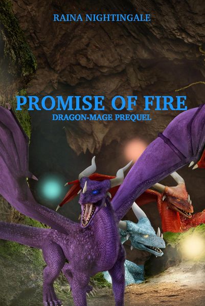 Produktbild: Promise of Fire (Dragon-mage, #0)