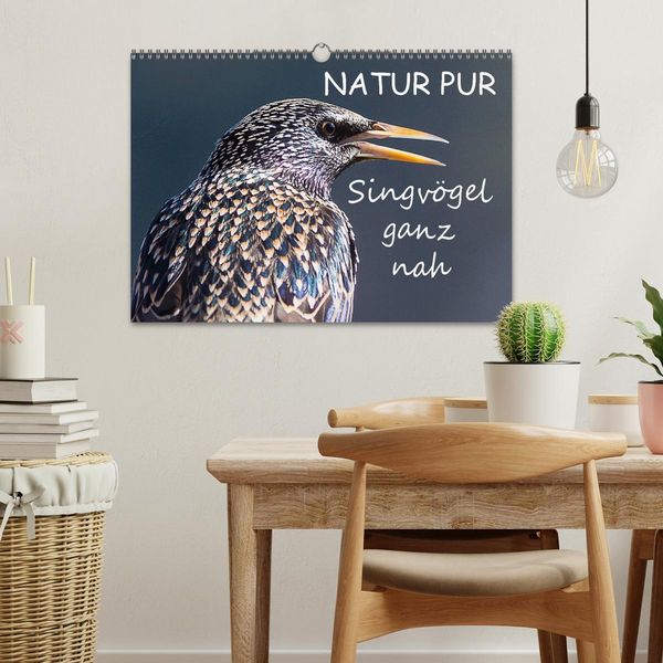 Produktbild: NATUR PUR - Singv&ouml;gel ganz nah (Wandkalender 2026 DIN A3 quer), CALVENDO Monatskalender