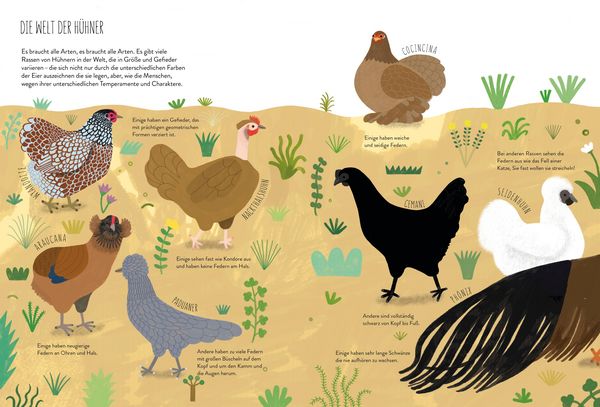 Produktbild: Ich wollt&rsquo;, ich w&auml;r' ein Huhn