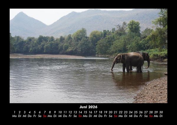 Produktbild: Der Elefantenkalender 2026 Fotokalender DIN A3