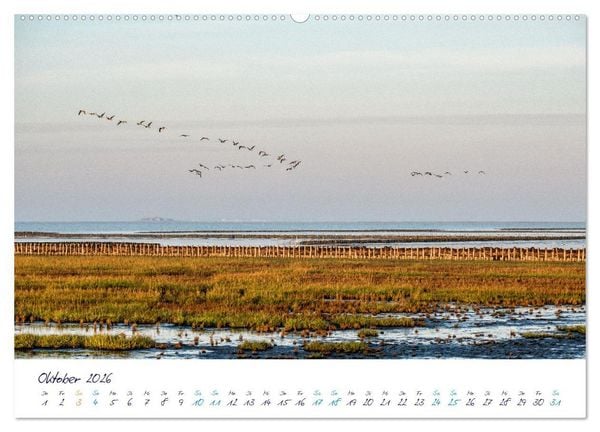 Produktbild: Nordfriesland - weiter Horizont, faszinierende Natur, idyllische St&auml;dte (hochwertiger Premium Wandkalender 2026 DIN A2 quer), Kunstdruck in Hochglanz