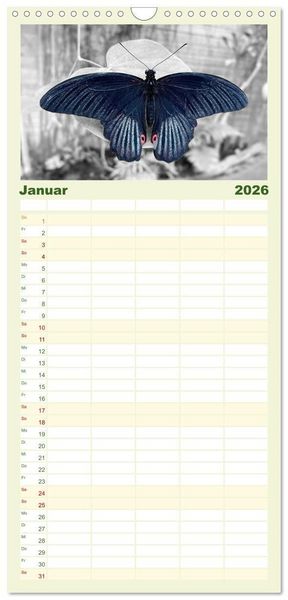 Produktbild: Familienplaner 2026 - Gefl&uuml;gelte Sch&ouml;nheiten der Tropen mit 5 Spalten (Wandkalender, 21 x 45 cm) CALVENDO