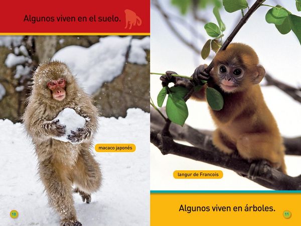 Produktbild: National Geographic Readers: &iexcl;Ag&aacute;rrate, Mono! (Pre-Reader)-Spanish Edition