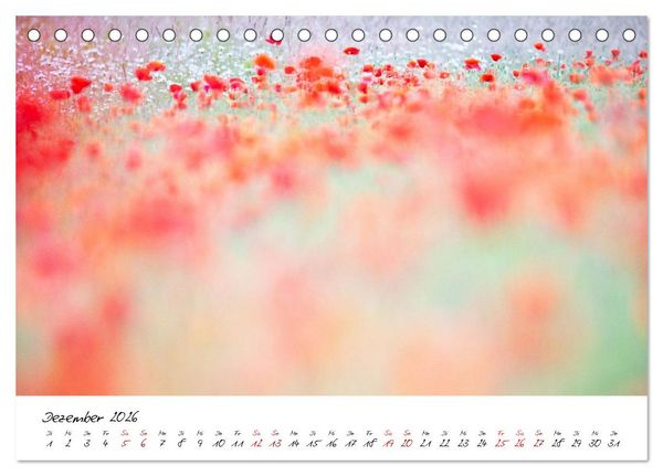 Produktbild: Mohnwiesen (Tischkalender 2026 DIN A5 quer), CALVENDO Monatskalender