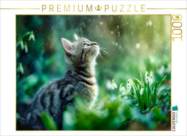 CALVENDO Puzzle Ein Motiv aus dem Kalender Schnurren & Streifen - Zwölf Monate mit Tigerkatzen | 1000 Teile Lege-Größe 64 × 48 cm Foto-Puzzle für glückliche Stunden