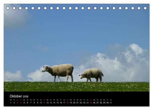 Produktbild: Wunderbare Nordsee (Tischkalender 2026 DIN A5 quer), CALVENDO Monatskalender