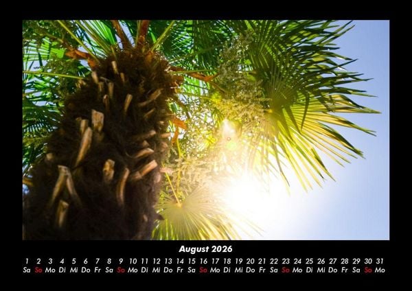 Produktbild: Palmen 2026 Fotokalender DIN A3