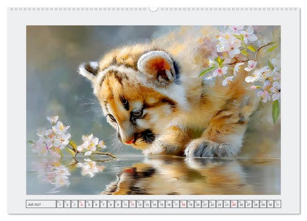 Produktbild: Pumababys. Verspielte Bergl&ouml;wenkinder in der Natur (hochwertiger Premium Wandkalender 2027 DIN A2 quer), Kunstdruck in Hochglanz