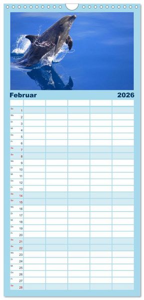 Produktbild: Familienplaner 2026 - Delfine - L&auml;chelnde Intelligenz mit 5 Spalten (Wandkalender, 21 x 45 cm) CALVENDO