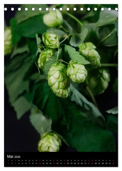 Produktbild: Bier (Tischkalender 2026 DIN A5 hoch), CALVENDO Monatskalender
