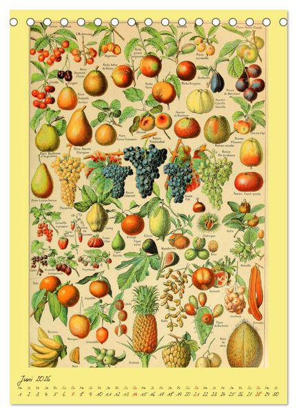 Produktbild: Pr&auml;chtige Naturtafeln (Tischkalender 2026 DIN A5 hoch), CALVENDO Monatskalender