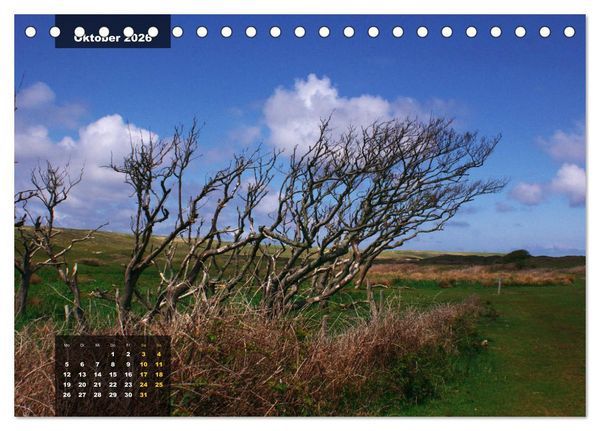 Produktbild: Texel Insel mit Charakter (Tischkalender 2026 DIN A5 quer), CALVENDO Monatskalender