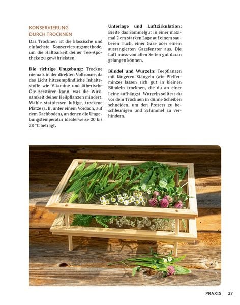 Produktbild: Die Tee-Apotheke