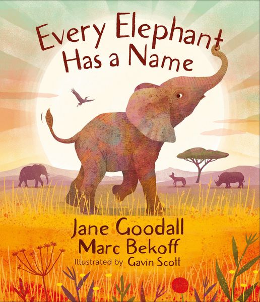 Produktbild: Every Elephant Has a Name