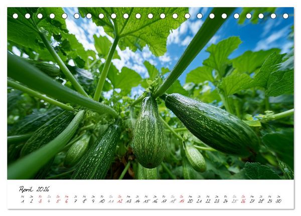 Produktbild: Gem&uuml;segarten - Gem&uuml;se aus dem eigenen Garten (Tischkalender 2026 DIN A5 quer), CALVENDO Monatskalender