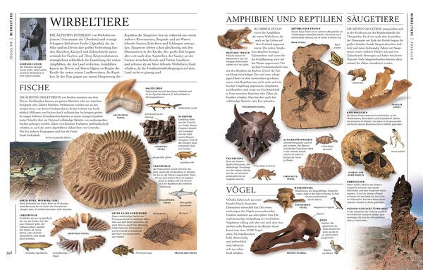 Produktbild: Steine & Mineralien