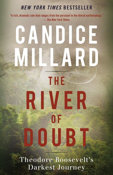 Cover of the book The River of Doubt