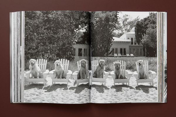 Produktbild: Bruce Weber