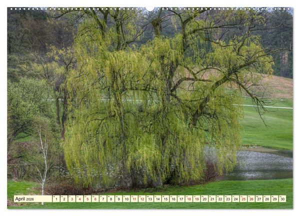 Produktbild: B&auml;ume, der Atem der Natur (Wandkalender 2026 DIN A2 quer), CALVENDO Monatskalender