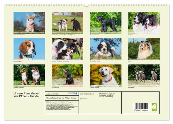 Produktbild: Unsere Freunde auf vier Pfoten - Hunde (hochwertiger Premium Wandkalender 2026 DIN A2 quer), Kunstdruck in Hochglanz