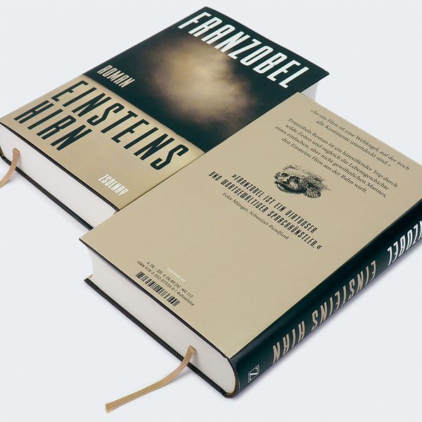 Produktbild: Einsteins Hirn