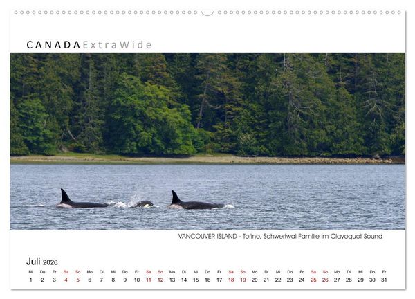 Produktbild: Vancouver Island Panoramabilder (hochwertiger Premium Wandkalender 2026 DIN A2 quer), Kunstdruck in Hochglanz