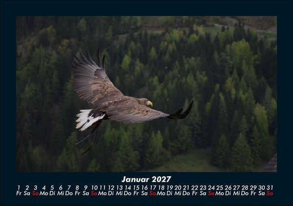 Produktbild: Adler 2027 Fotokalender DIN A5
