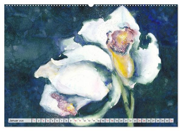 Produktbild: Blumenaquarelle aus der N&auml;he (hochwertiger Premium Wandkalender 2026 DIN A2 quer), Kunstdruck in Hochglanz