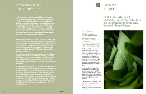 Produktbild: Wildkräuter vor deiner Haustür - Silbermedaille GAD 2022 - Deutscher Kochbuchpreis (bronze)