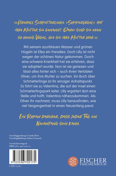 Produktbild: Sommervogelflug