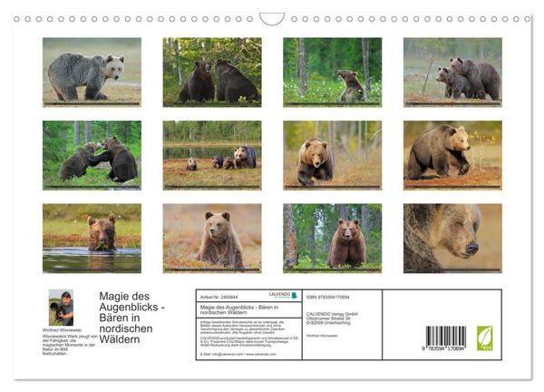 Produktbild: Magie des Augenblicks - B&auml;ren in nordischen W&auml;ldern (Wandkalender 2027 DIN A3 quer), CALVENDO Monatskalender